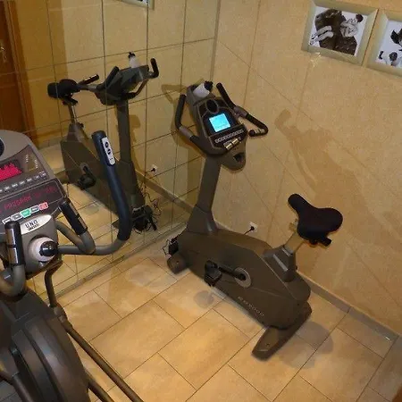 4 Sterne App Lavendel Ir-sauna Whirlpool Fitnessraum Kinderfreundlich Bikeraum Apartmán Goslar